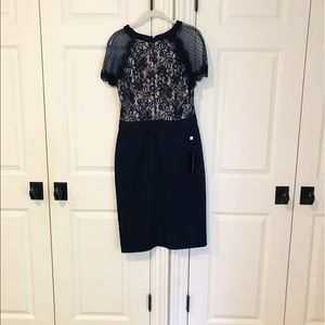 TADASHI SHOJI TURRI LACE DRESS